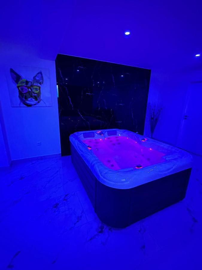 Appartement Cosy Jacuzzi Spa 70M2 Châtenois Exterior foto
